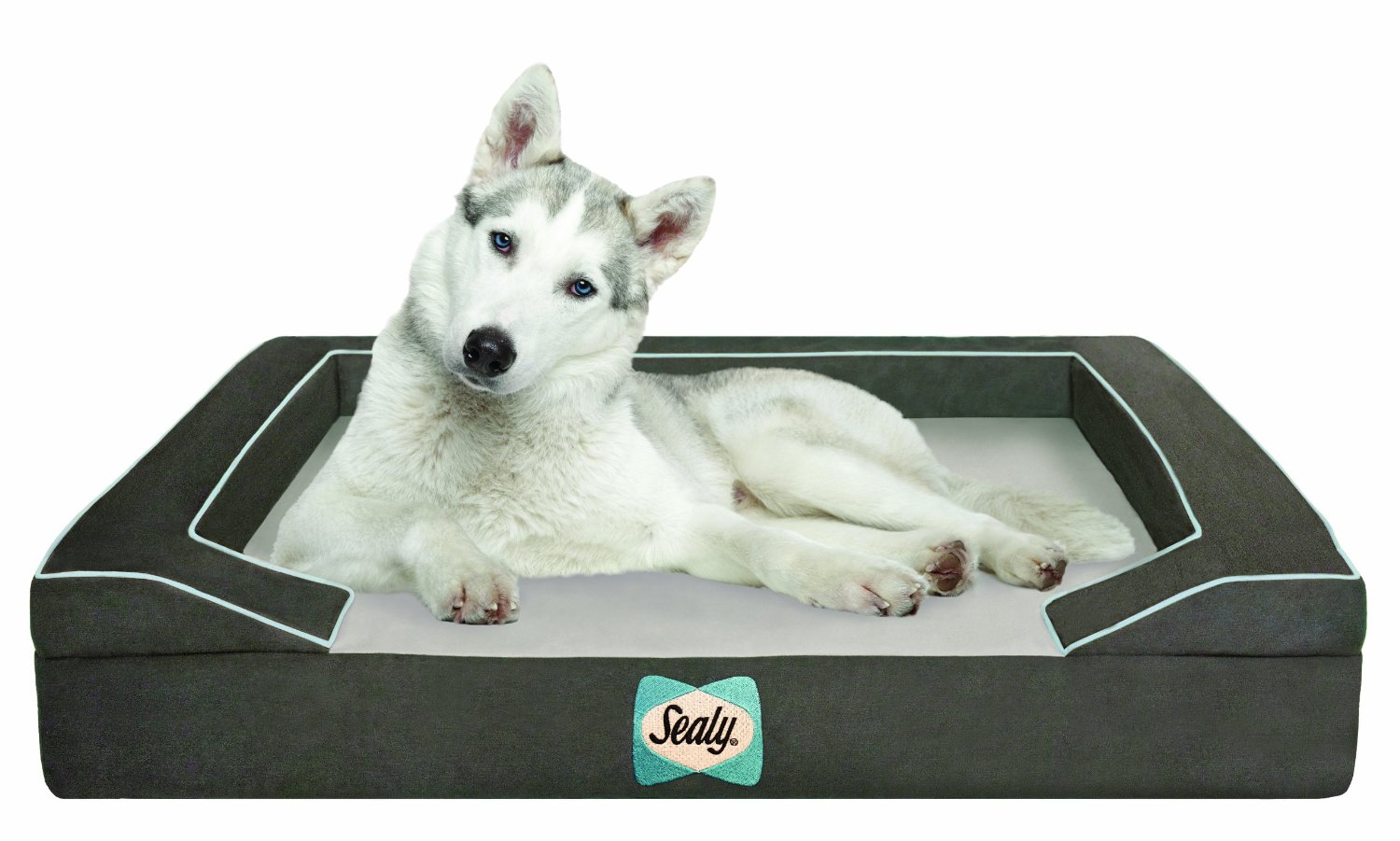 Sealy Dog Bed 狗狗主人既護脊床 Buy&Ship（香港）