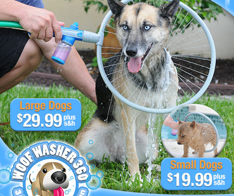 11866214_826370250811082_4537221522942309548_n