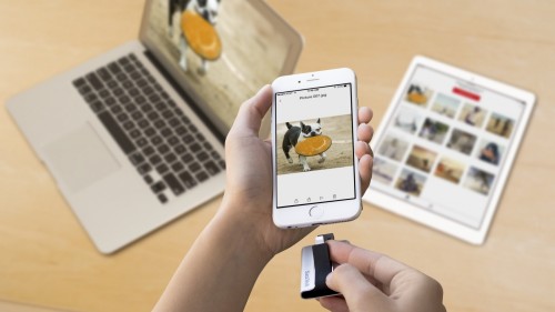 nvywql79jf525rfs722j