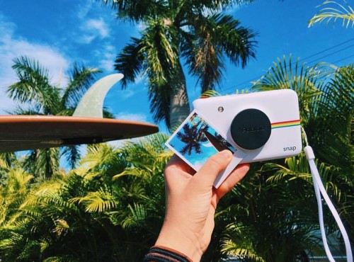 13116506_1015782745164388_4982389254506691140_o