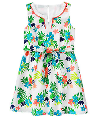 Girls Watercolor Floral Floral Dress by Gymboree