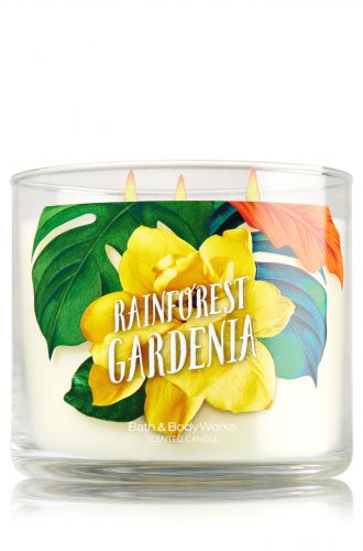 pBBW1-23645286enh-z8