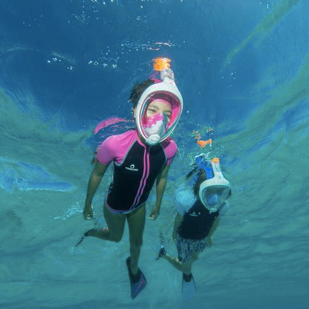 13567109_651708958319890_1306575704987635883_n