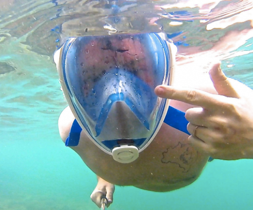 13627185_651708994986553_1622736822762806610_n