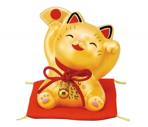 13698123_1017232685058170_823969598045915477_o