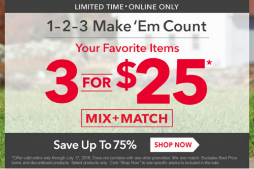 13731053_1018172448297527_5255869161669146933_o