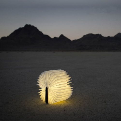 61LAnLDha7L._SL1024_