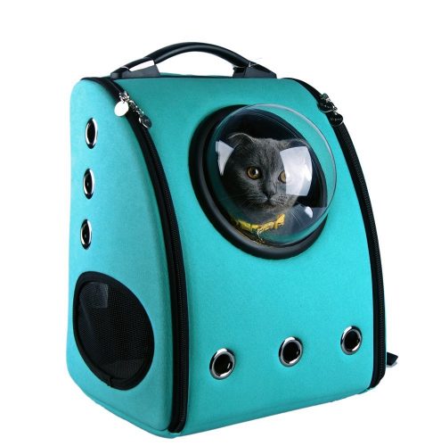 717K8Ut2WEL._SL1000_