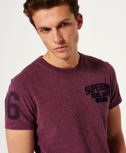 upload7620643628587412408