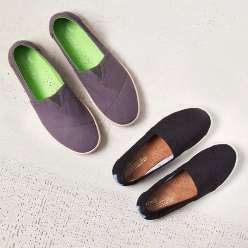 14333688_1342564915776866_6108239898708353474_n