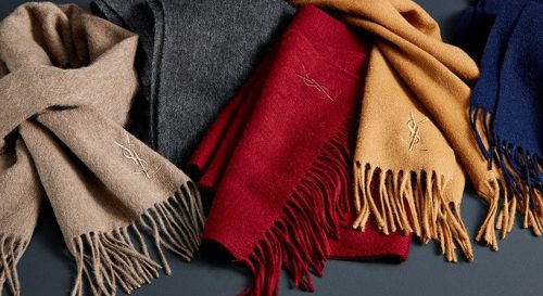 14390788_1117303851691575_7624661276510440600_n