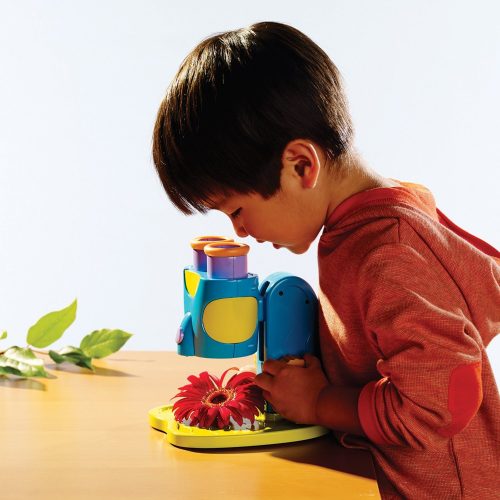 81pl85dMMlL._SL1500_