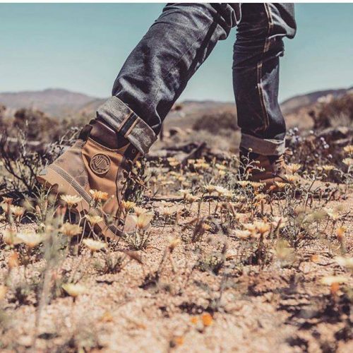 14713522_706803442810441_1022772219359374025_n