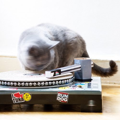 91rNYm1ddvL._SL1500_