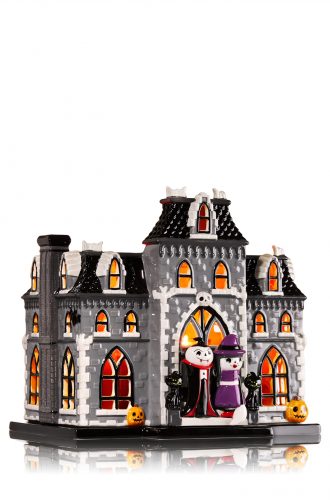 pBBW1-24687997enh-z8