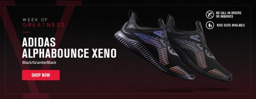 wog-launch-966x374-alphabounce