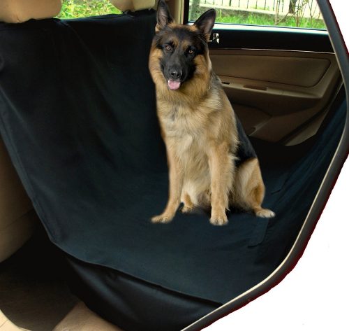 91xv4qxcmyl-_sl1500_