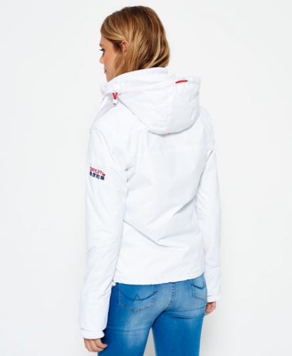 upload5664896563721402677