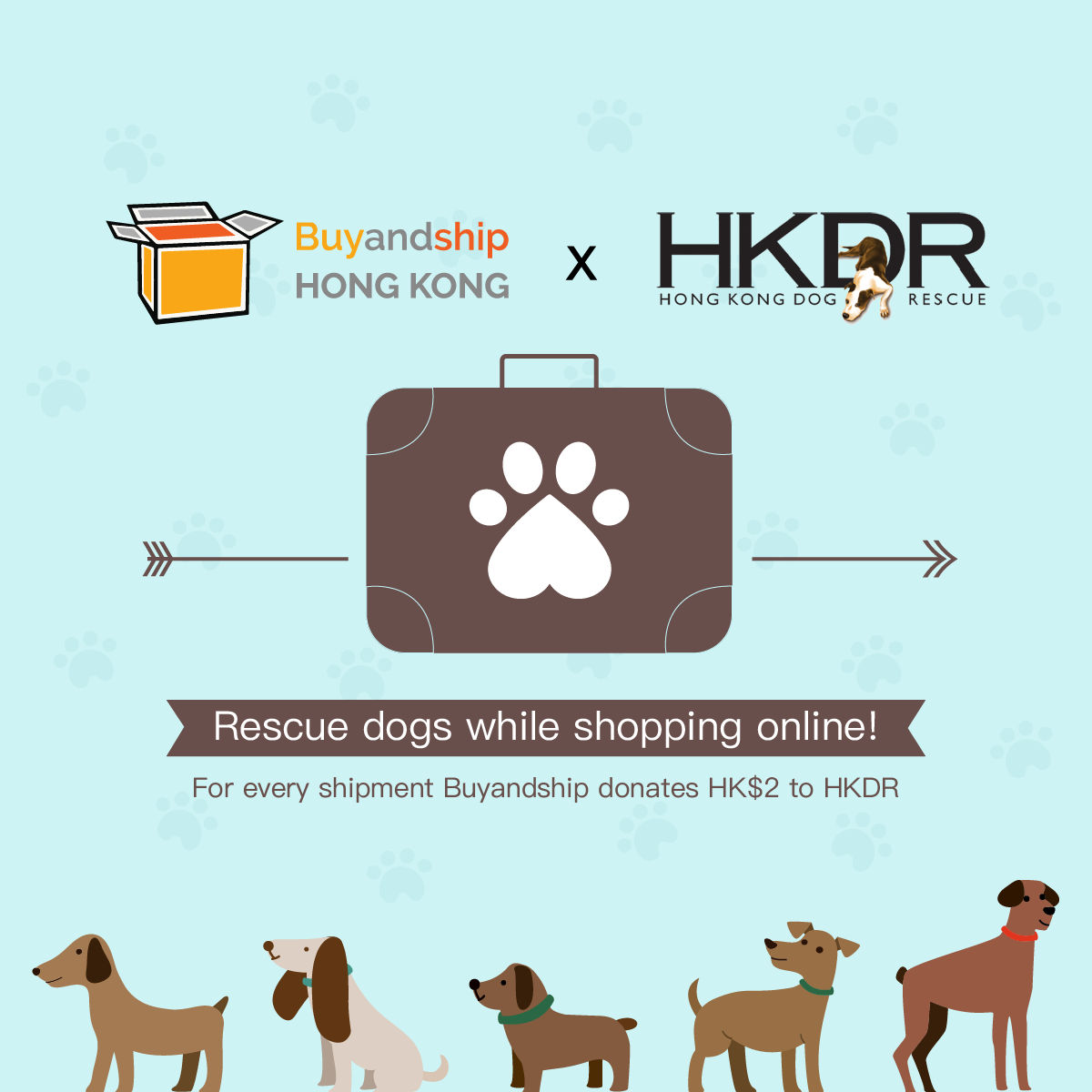 Rescue Dogs While Shopping Online : Buyandship X Hong Kong Dog Rescue ...