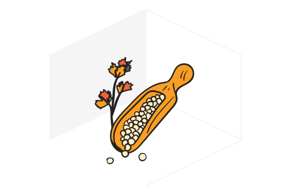 Plant seeds, fertilizer, and soil
