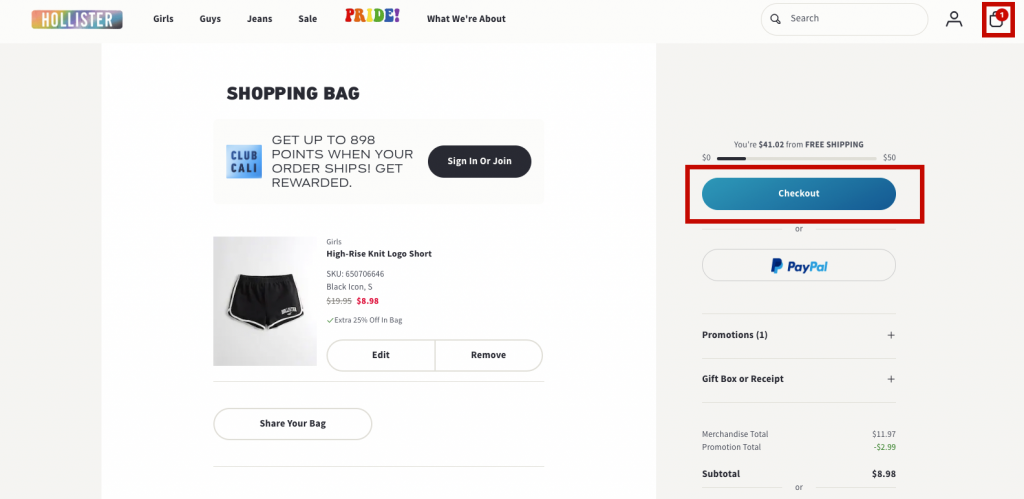 Hollistetr US Shopping Tutorial 4: add items into cart and checkout