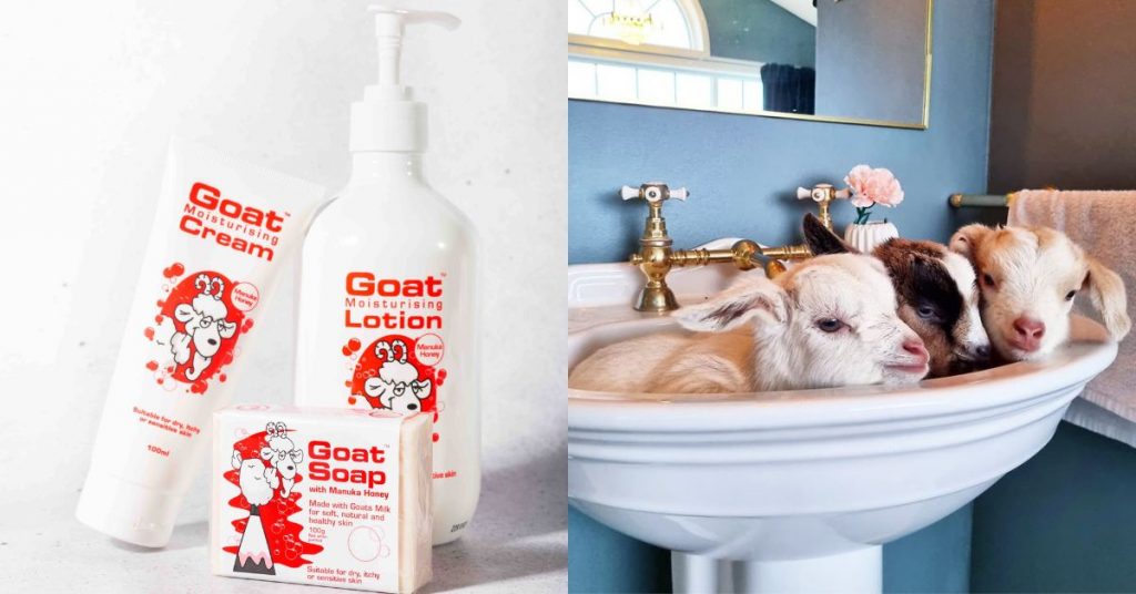 濕疹敏感肌適用！澳洲山羊奶Goat Soap身體護理品牌天然無刺激，內附詳細網購教學