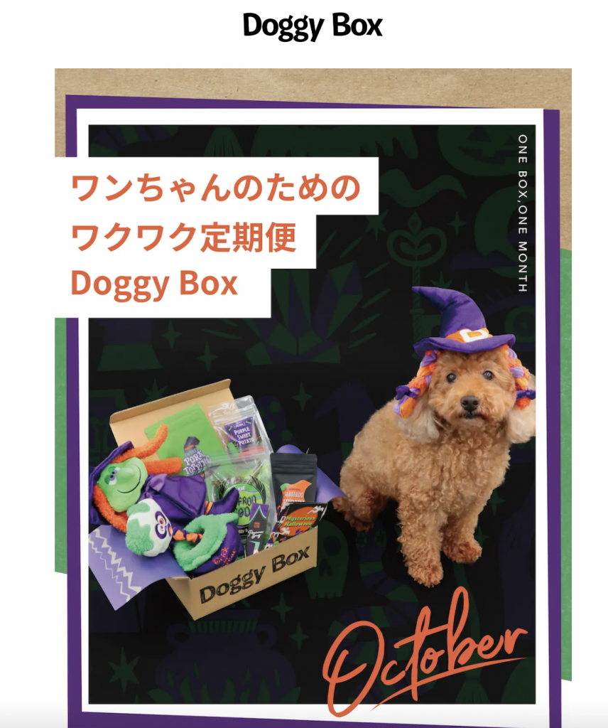 Doggy Box日本官網購買教學3-前往 Doggy Box 日本官網