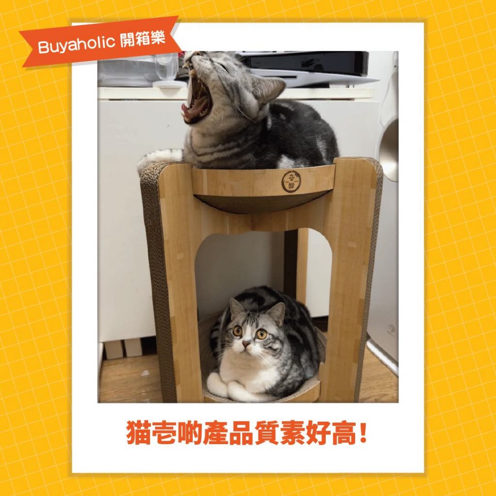 Buyaholic會員開箱分享: 猫壱雙層貓抓板