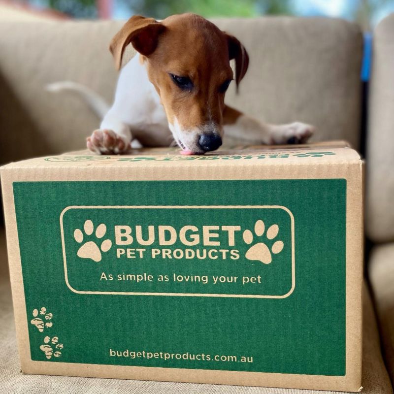 海外寵物用品網站推介: Budget Pet Products