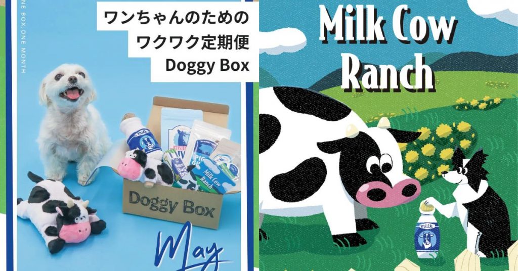 日本狗狗專用 Doggy Box，以約$31試買價即可入手超高質零食玩具！