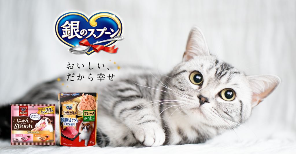 貓奴必睇人氣日牌貓貓食品、零食～內附日本樂天詳細網購教學！