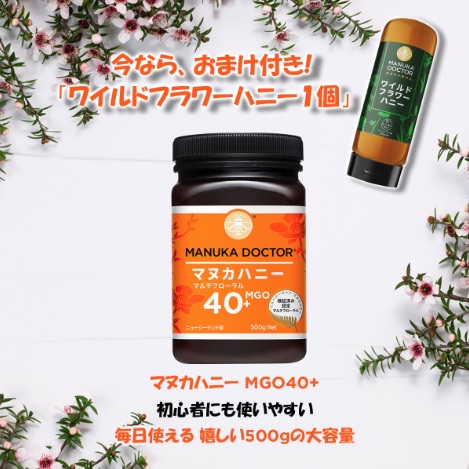 Manuka Doctor - 麥蘆卡蜂蜜 500g 