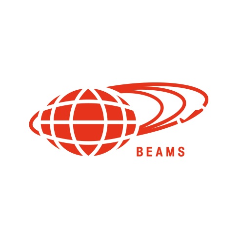 Dickies Shopping Websites 5. BEAMS