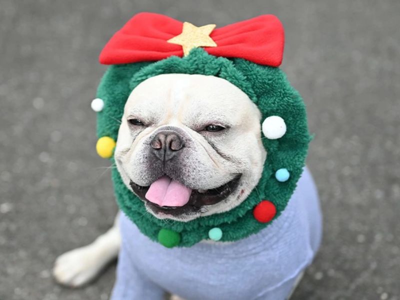 聖誕花圈造型寵物二用保暖頭套