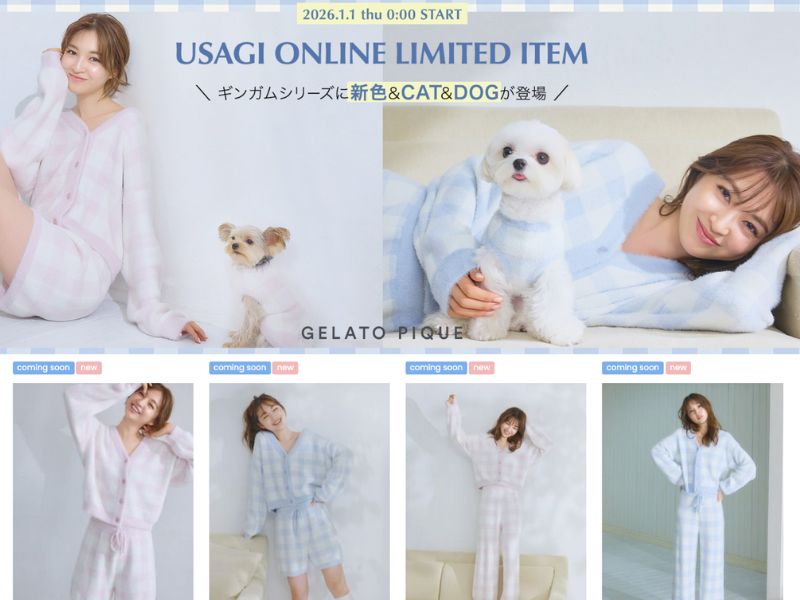 Usagi Online