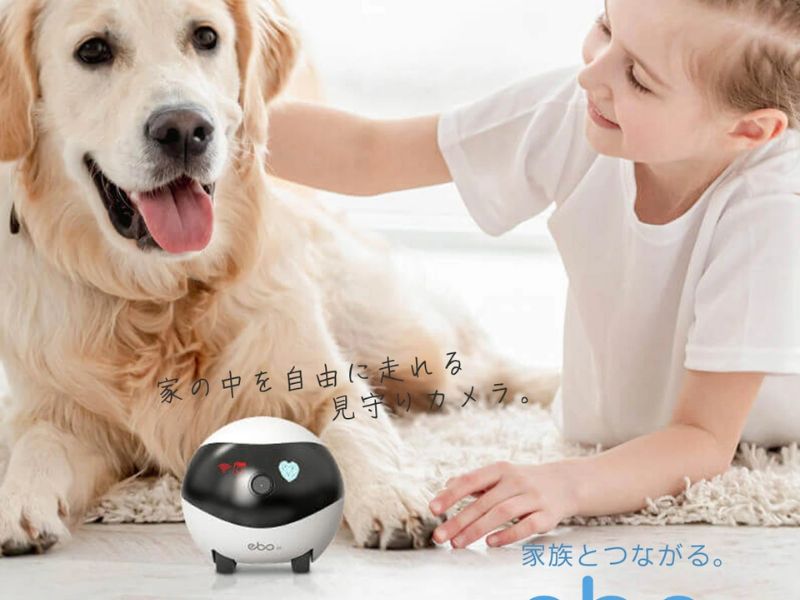 EBO SE - 寵物攝像頭