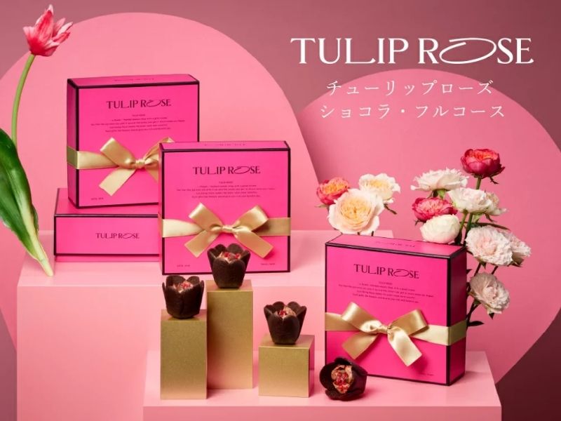 TOKYO TULIP ROSE