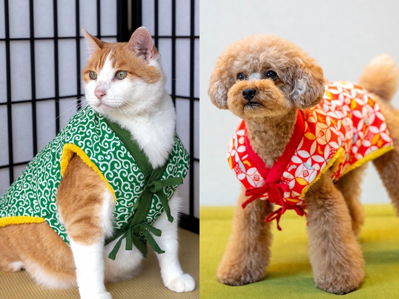 iDog & iCat 犬貓新年和風外套