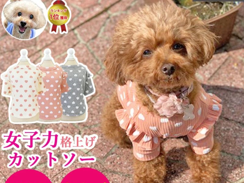 iDog & iCat 犬貓新年和風外套