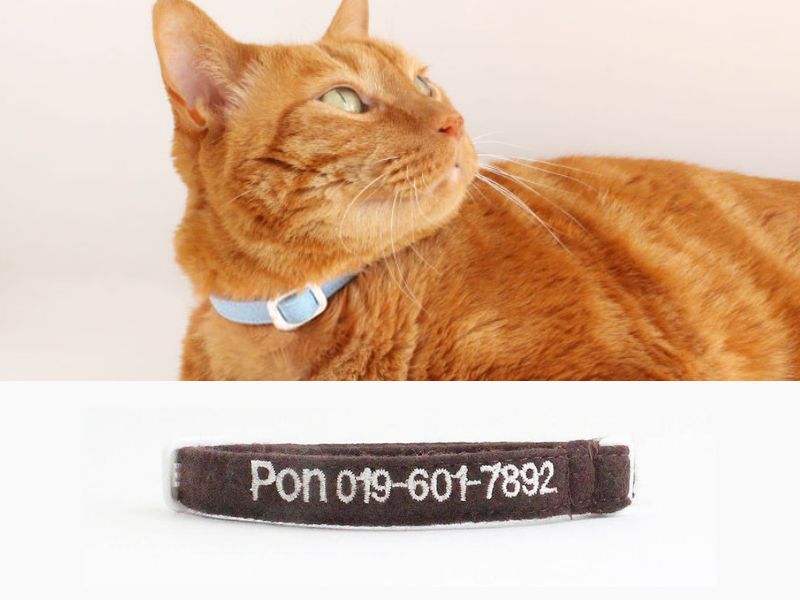 Made-in-Japan Personalized Safety Cat Collar