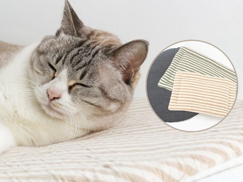 Made-in-Japan Organic Cotton Cat Cushion (Ozabu Square M)