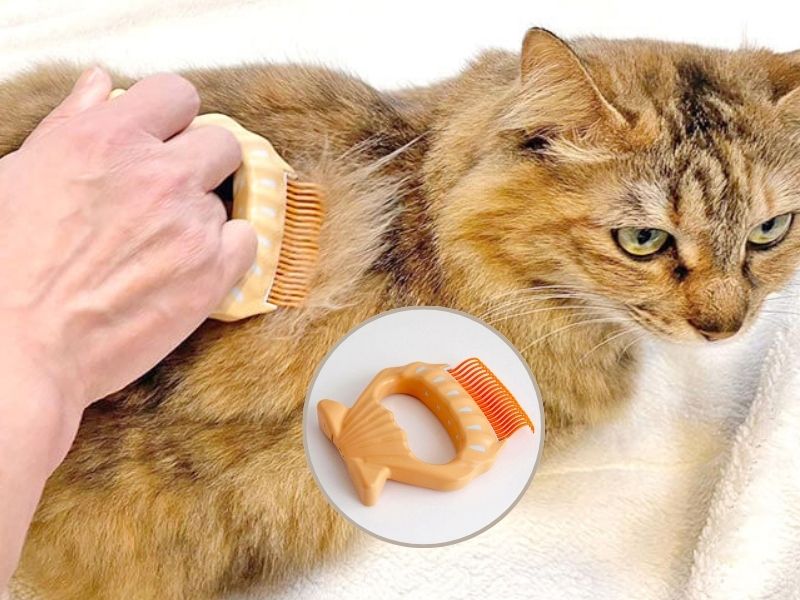 Made-in-Japan Pain-Free Grooming Brush (Pirocomb E3)