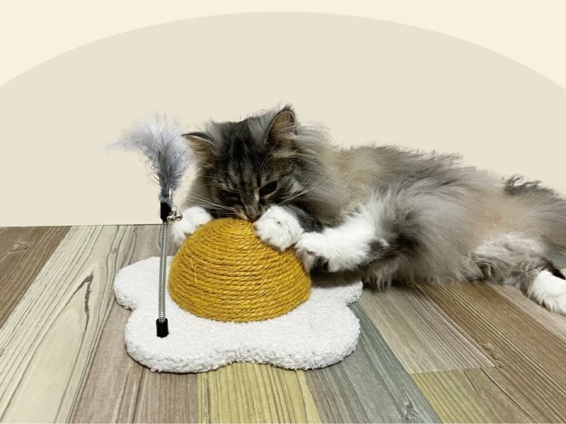 Fried Egg–Shaped Cat Scratcher (Natural Jute)