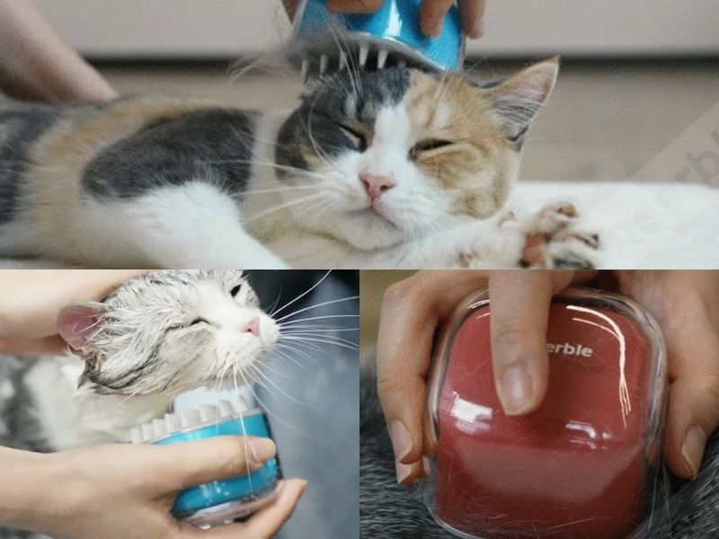Candy Brush Cat Grooming Brush