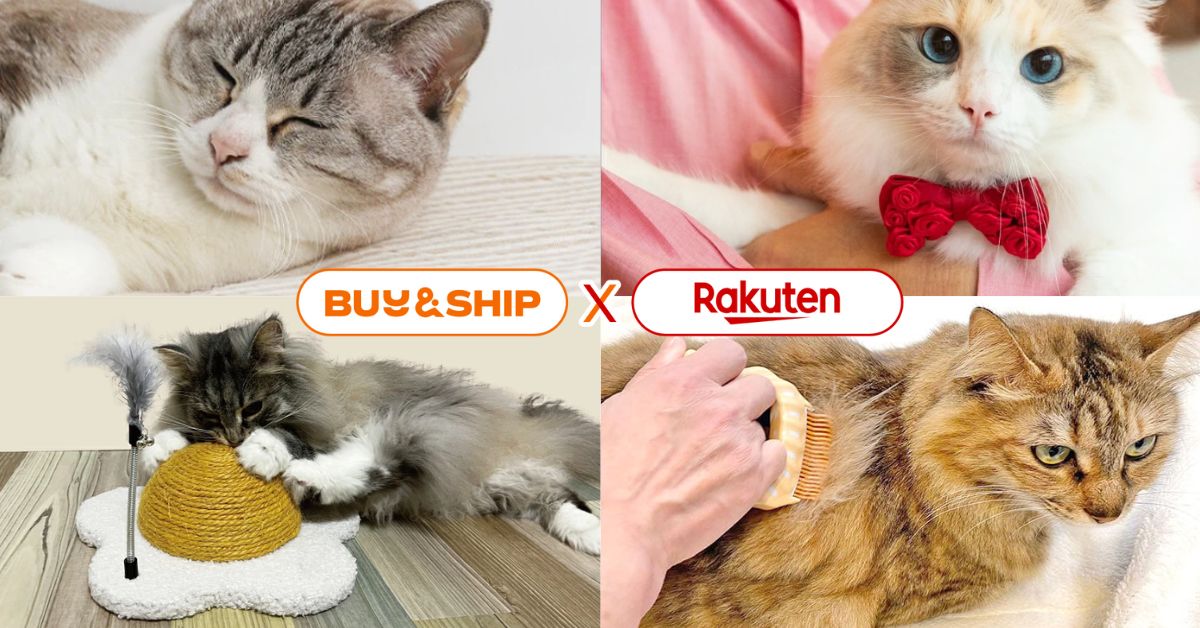 Cat Day Japan|Best Cat Products on Rakuten & How to Ship to Hong Kong