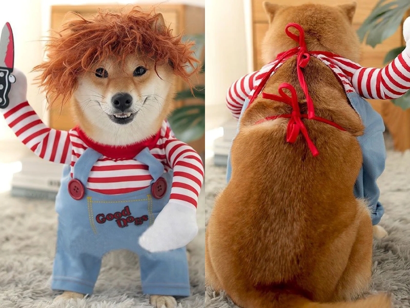 Rakuten Japan Chucky Halloween costume for dogs and cats